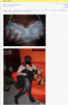 2008-10-31_083657.gif