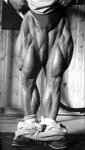 gambe.jpg