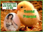 Pasqua2.jpg