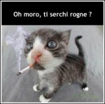 serchirogne.jpg