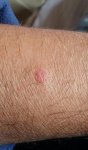 20150430_124148_1.jpg