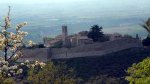 campello-alto-21.jpg