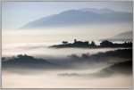 nebbia.jpg