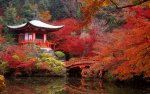 japanese-garden-in-autumn.jpg