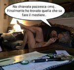 Screenshot_20160501-200545-picsay.jpg
