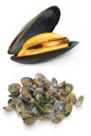 vongole-cozze.jpg