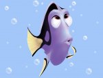 doris-de-nemo.jpg