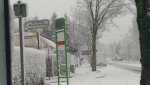 P_20171210_152606_vHDR_On.jpg