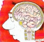 35E4E7BF-405A-410A-83BF-81EE2D927E51.jpg