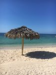 IMG_1243.jpg