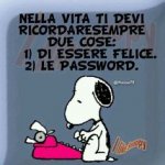 4741f845915278fbd11dfe4089e6c122--snoopy-peanuts-shoes.jpg