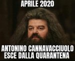 qhigat5yfh-vaccata_b.jpg