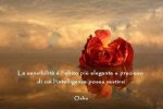f0483dedeb88b87b48de0074cc479a55.jpg