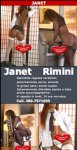 389 7971695 Rimini Flaminio Janet.jpg