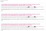 selestocazzo.png