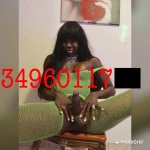 3496011764.jpg