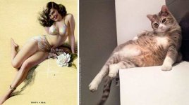 pinup_girl_cats-1.jpg