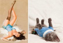 pinup_girl_cats-12.jpg