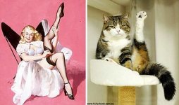 pinup_girl_cats-14.jpg