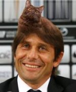 conte-gatto-in-testa.jpg