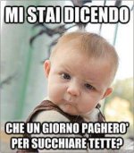 FB_IMG_1617053716822.jpg