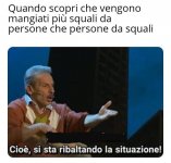 p22f1w1p9h851.jpg
