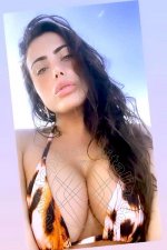 3801368043-0.jpg