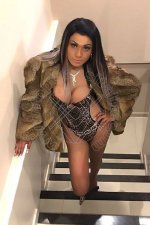 3792075325-2.jpg