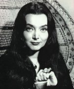 morticia2.jpg