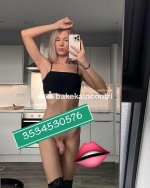 3534530576-1.jpg