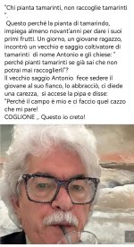 senatore.jpg