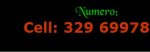 ..-- Top Trans --.._1333578380008.jpeg