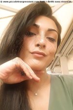 3290218209-3.jpg