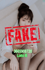 1708193172822.png