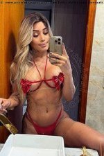 trans-escort-71929-20241115093443-919945.jpg