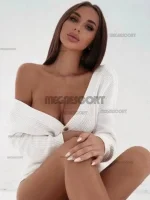 ce2de6b97739660f1ae0cda05c306c4ec3a7d984.webp