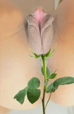 pic_1_big.webp