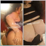 b3d981593e6a412a972a6bfa7c815562.webp