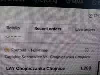 zaglebielubinLAY.webp