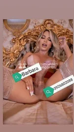 3926802088.webp