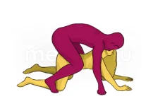 cagnolino.webp