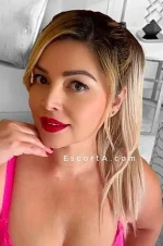 Screenshot 2025-10-27 121637.webp