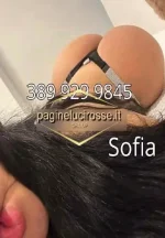 Screenshot 2026-02-11 101129.webp