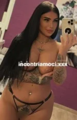 Screenshot 2026-02-13 140648.webp