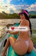 Screenshot 2026-02-19 113245.webp