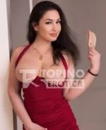 Screenshot 2026-02-19 172532.webp