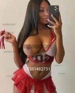 3381482731.webp