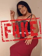 Screenshot 2026-04-14 150708.webp