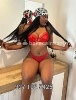 Screenshot 2026-05-25 112905.webp