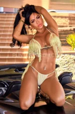 zvamd-whatsapp-image-2026-06-04-at-10-11-36.webp